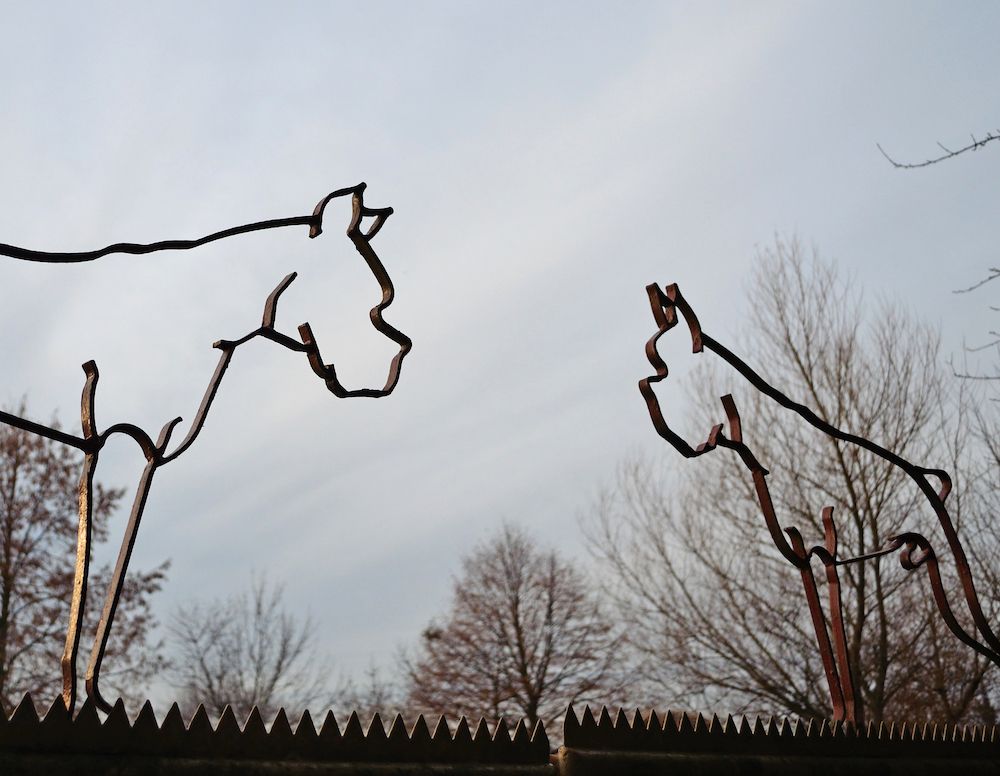 Paranoid or Simply Realistic?